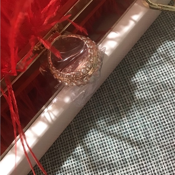 GORGEOUS GORGEOUS Red Ostrich Feather evening bag.Brand New See All Pics.🌹🍄🌹 - Picture 6 of 13